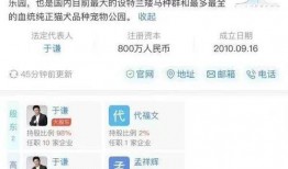 今日百家爆料新闻最新消息,今日热点新闻速览